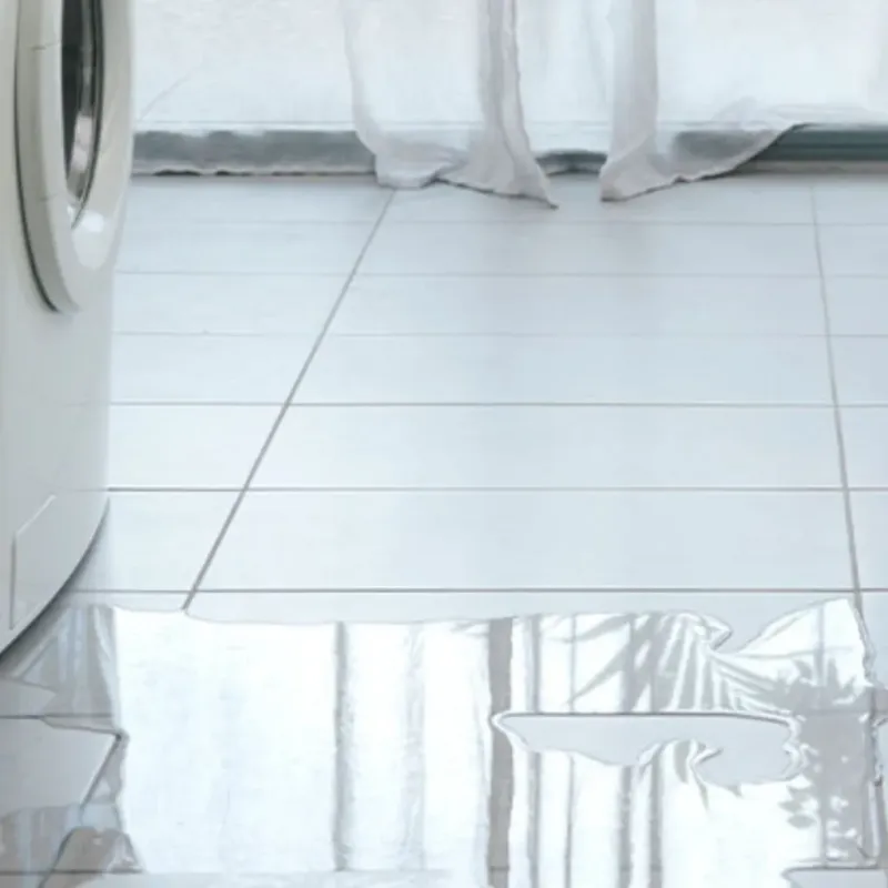 Appliance Leak Cleanup in Big Horn County, MT