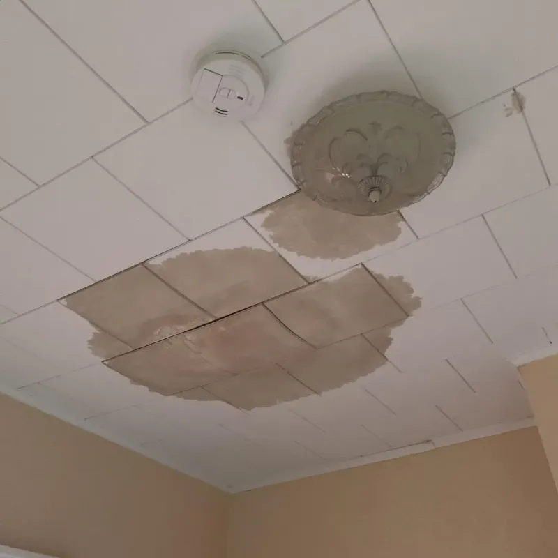 Ceiling Water Damage Repair in Big Horn County, MT