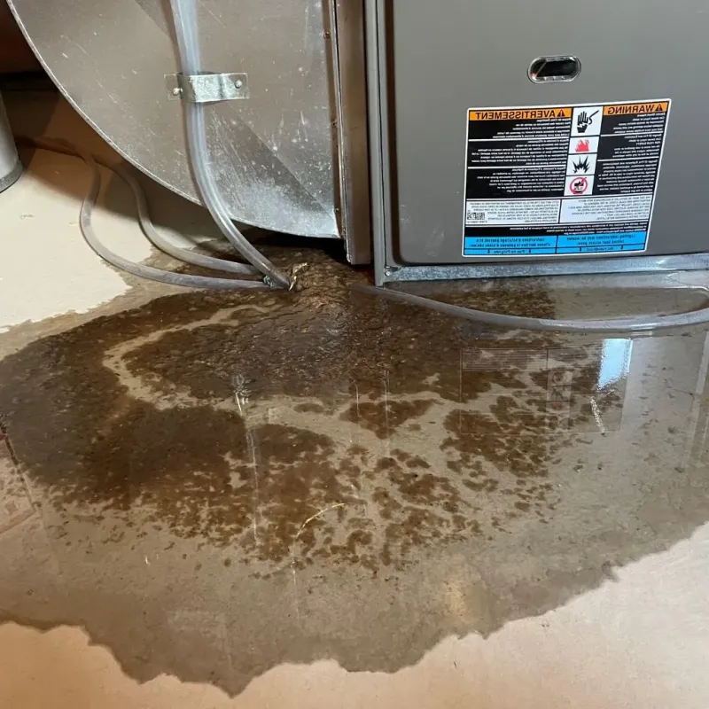 Pipe Burst and Leak Restoration in Big Horn County, MT