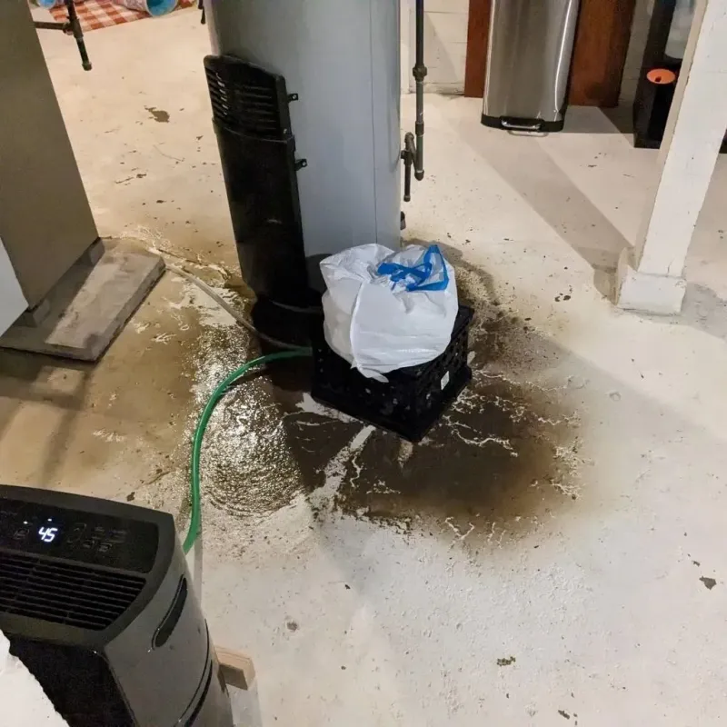 Sewage Backup Cleanup Service in Big Horn County, MT